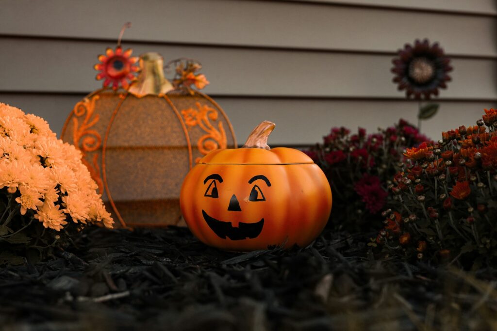 Decorative pumpkins on black woodchips with yellow and red flowers on each side.
