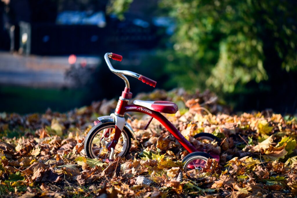 A red children's tricycle surrounded by different colors of leaves. 